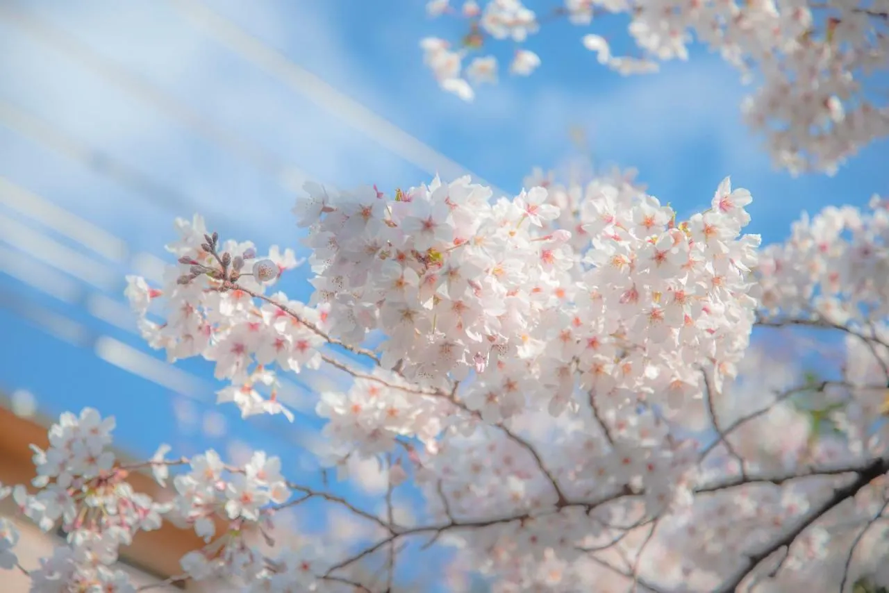 Kyoto Takasegawa Bettei Hotel Japan